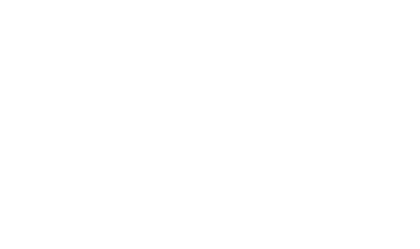 Island Routes Logo